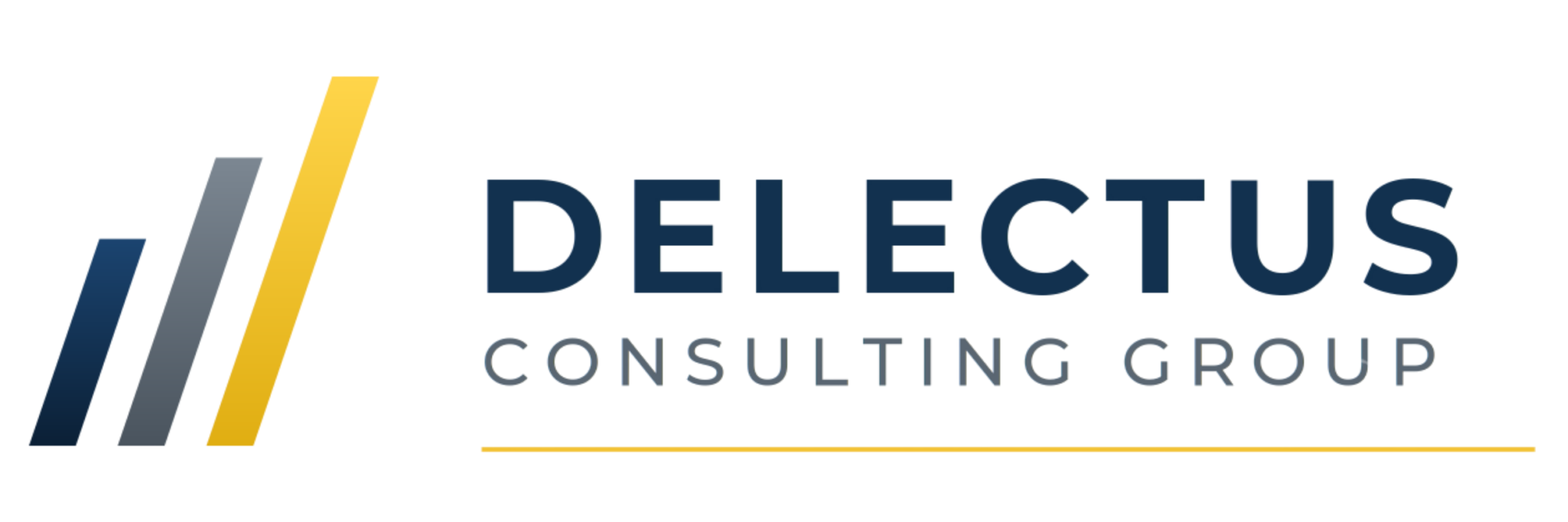 Delectus Consulting Group